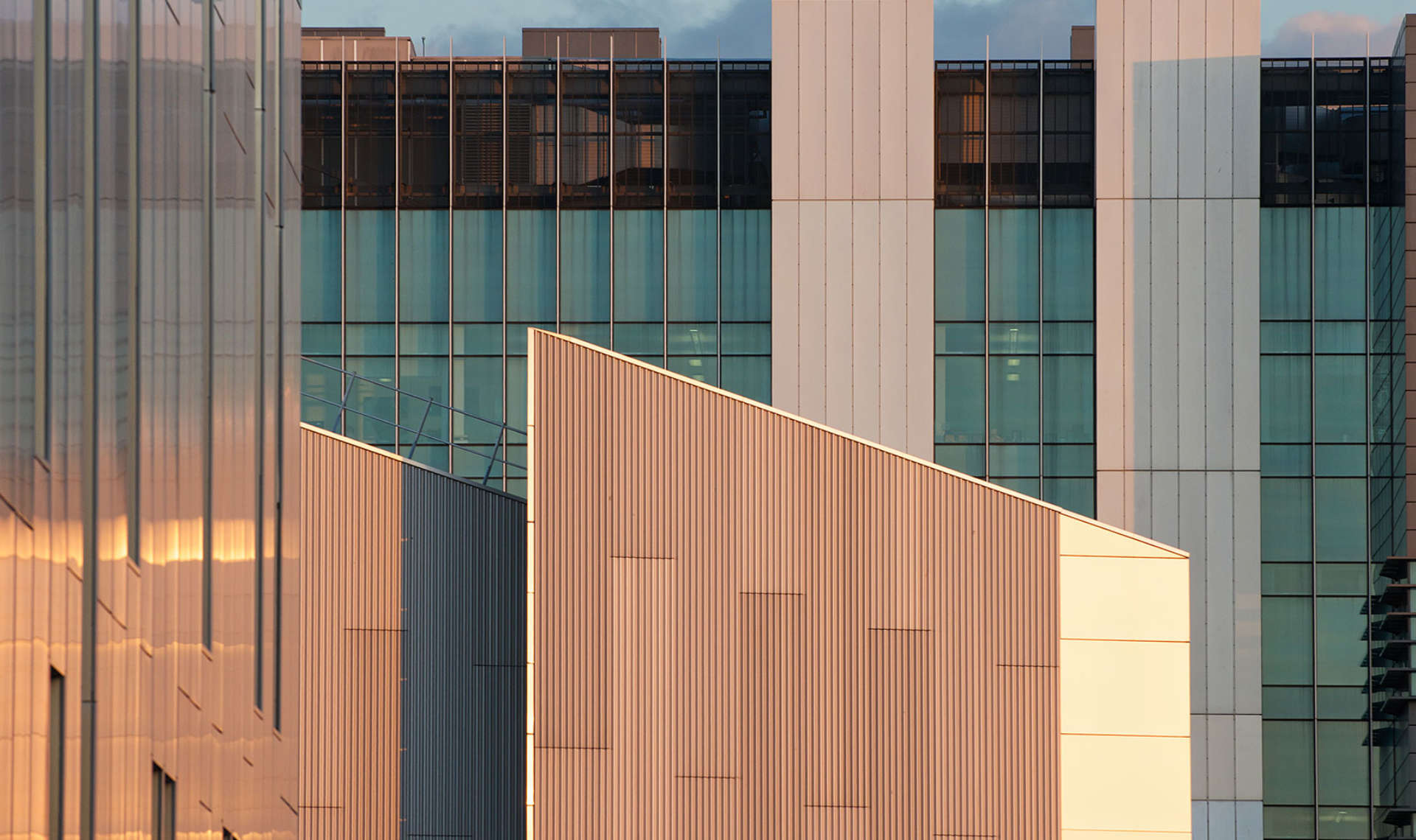 Disciplines | Wall Cladding
