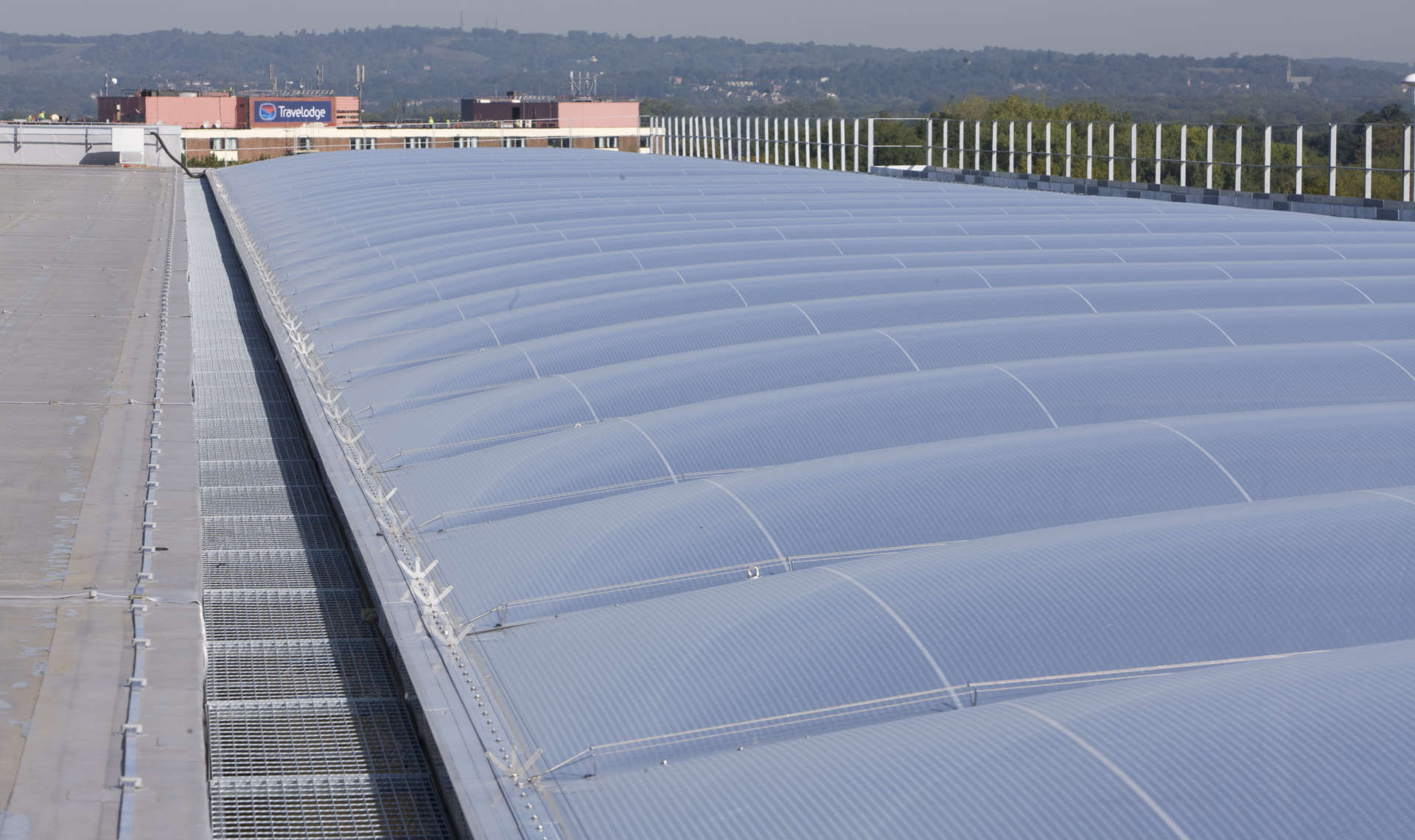 Disciplines | Single Ply