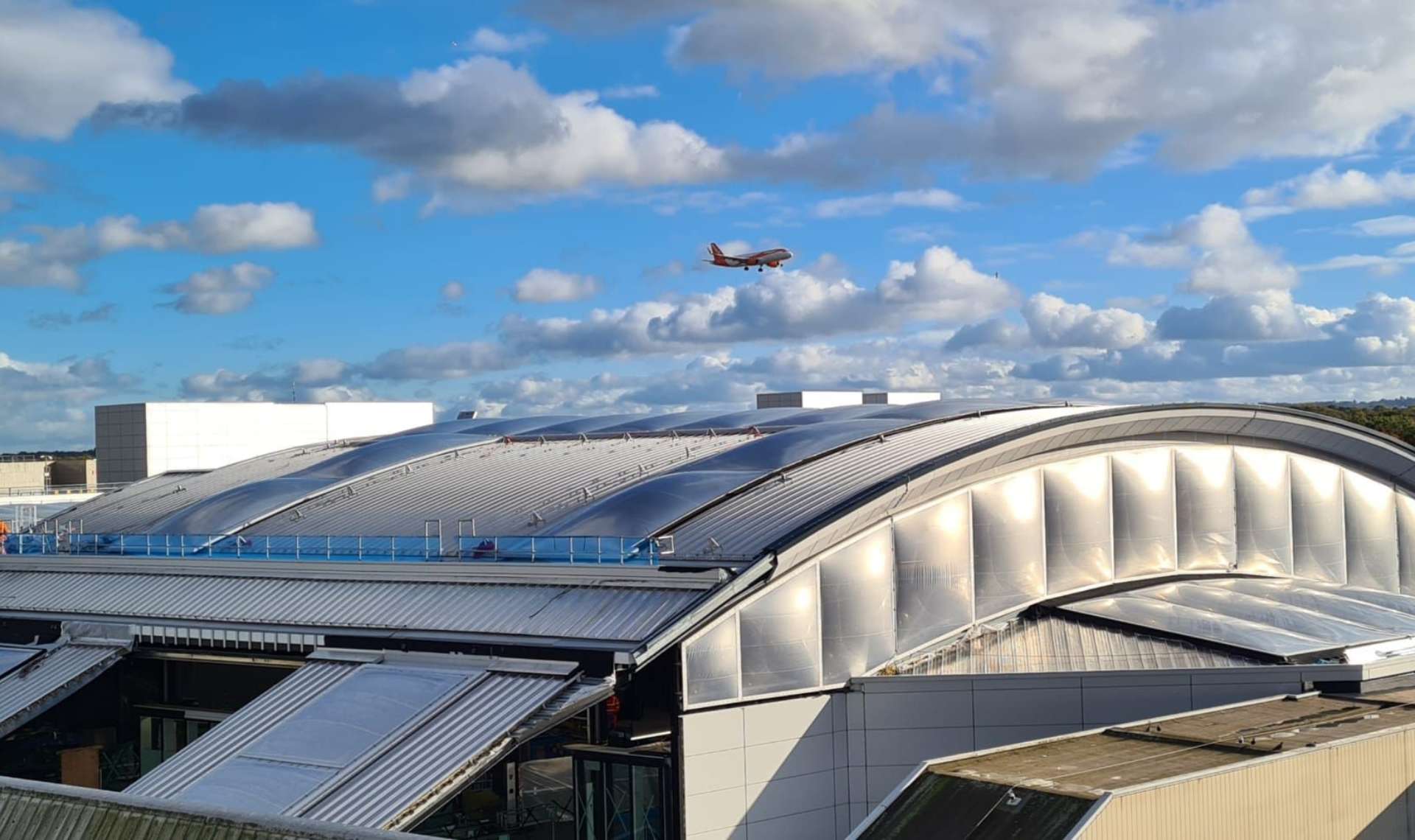 Disciplines | Single Ply