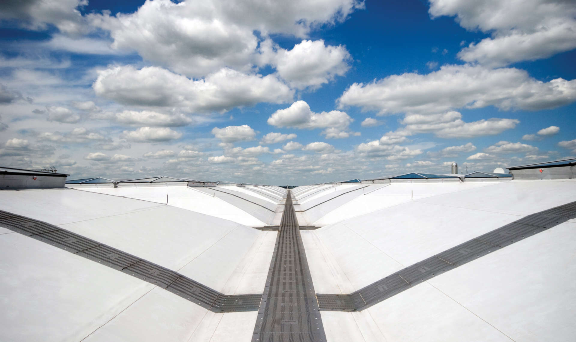 Disciplines | Single Ply