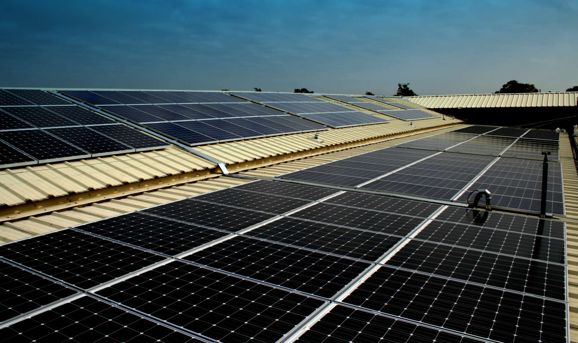 Disciplines | Solar PV